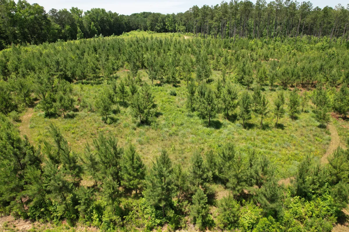 How NRCS Funding Supports Better Wildlife Habitat and Working-Land Stewardship